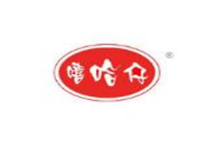 嘻哈仔冰淇淋加盟