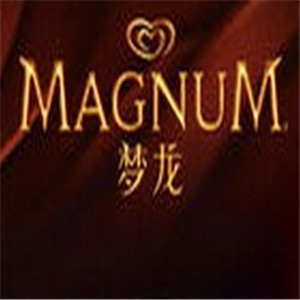 梦龙MAGNUM冰淇淋加盟