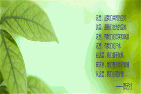 源艺社美术教育