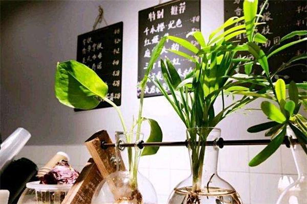 猫君橘九 猫君橘九