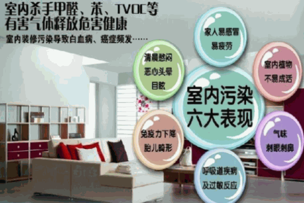 绿逸家除甲醛 绿逸家除甲醛