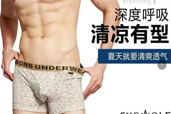 雪飞狼男士内衣 雪飞狼男士内衣