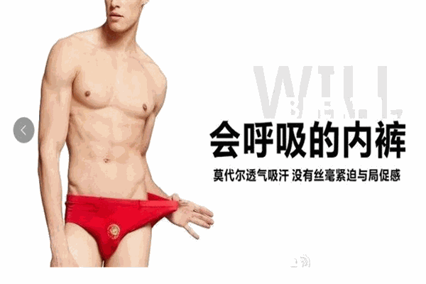 雪飞狼男士内衣 雪飞狼男士内衣