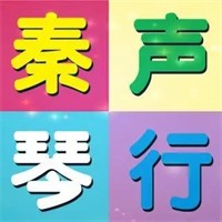 秦声琴行加盟