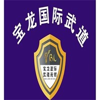 宝龙跆拳道加盟