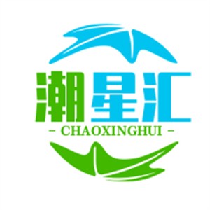 潮星汇艺术培训加盟