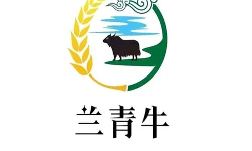 兰青牛青海牛肉拉面加盟